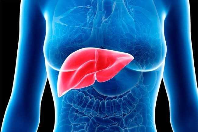 most-common-warning-signs-of-damaged-liver